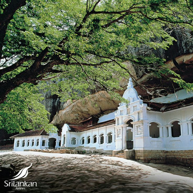 1-Day Sigiriya Rock Fortress & Dambulla Cave Temple Tour